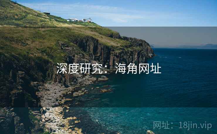 深度研究：海角网址