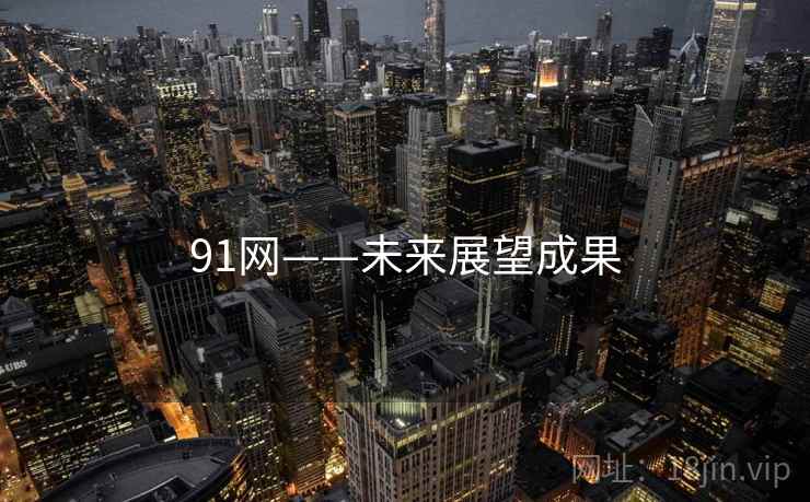91网——未来展望成果