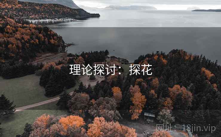 理论探讨：探花