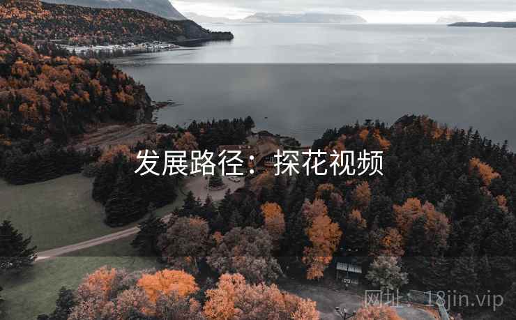 发展路径：探花视频